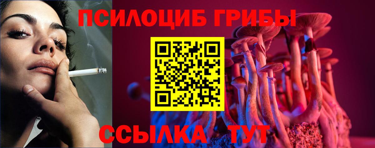 Псилоцибиновые грибы Magic Shrooms Тулун