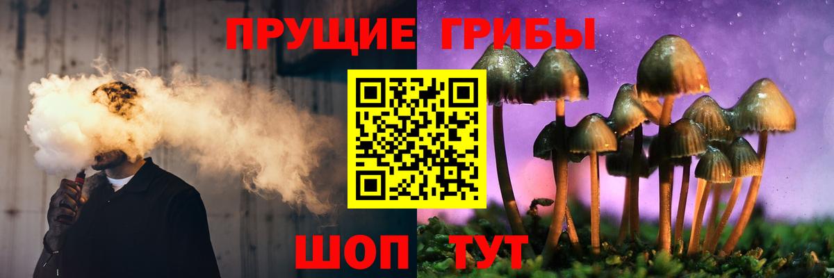 Псилоцибиновые грибы GOLDEN TEACHER  Псилоцибиновые грибы мицелий  Вход с VPN  Тулун 